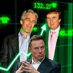 Jeffrey Epstein Elon Trump