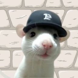 Rat Wif Hat